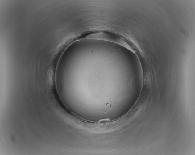 X0000115680023200911121256