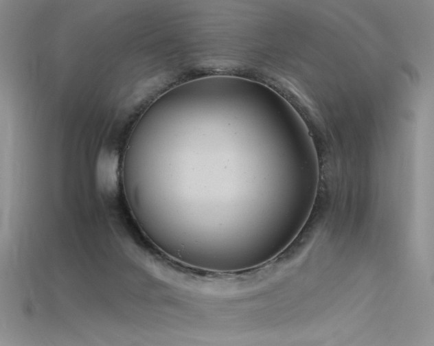 X0000115680024200911121256