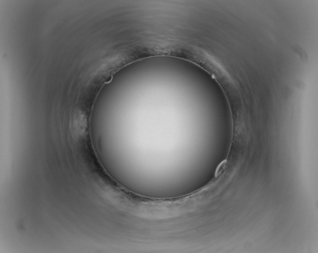 X0000115680025200911121256