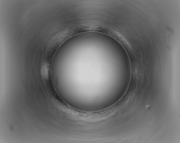 X0000115680026200911121256