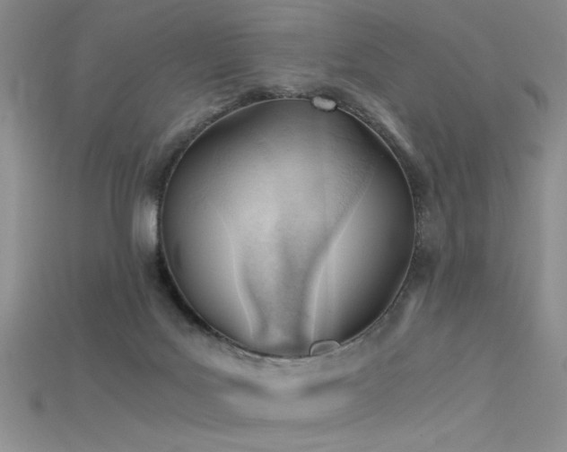 X0000115680027200911121256