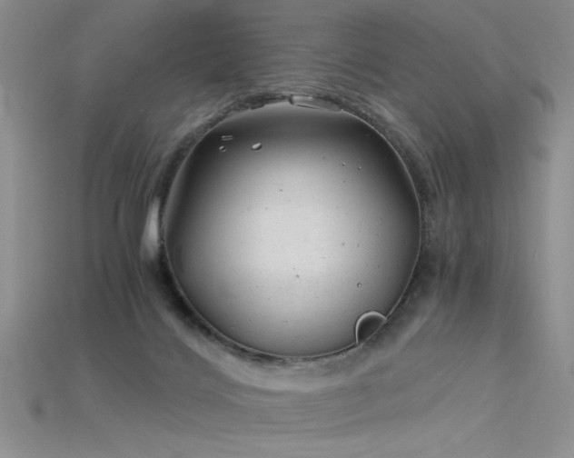 X0000115680028200911121256