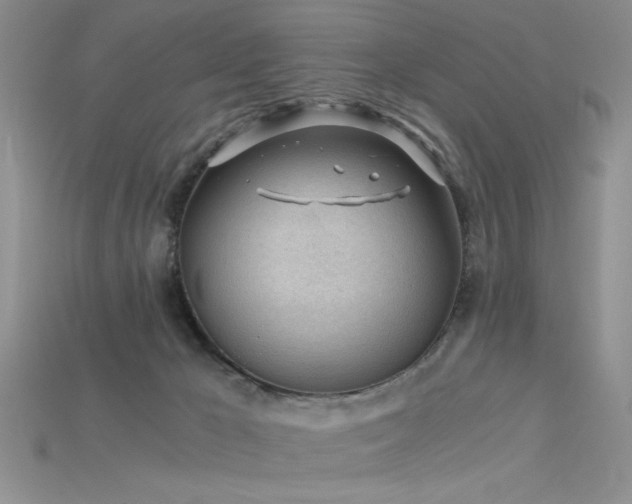 X0000115680029200911121256