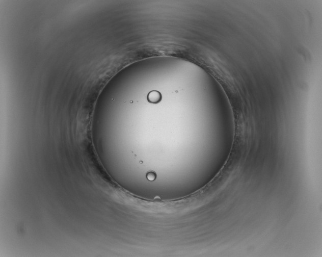 X0000115680030200911121256