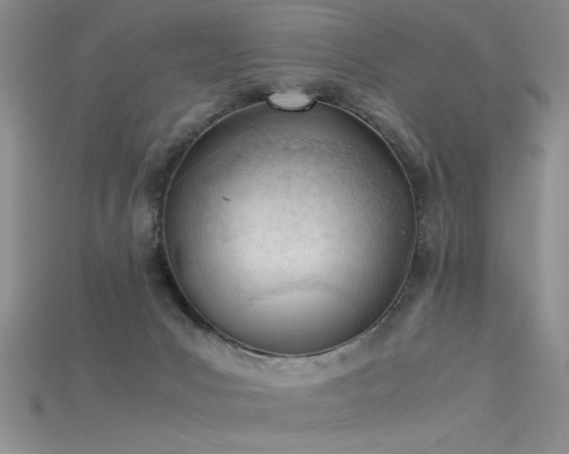 X0000115680031200911121256