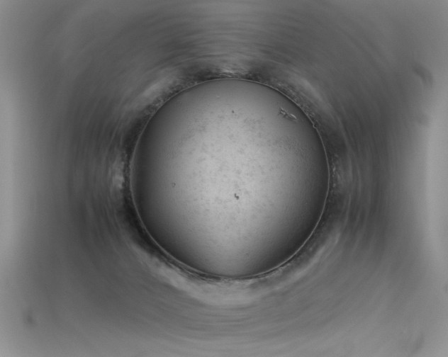 X0000115680032200911121256