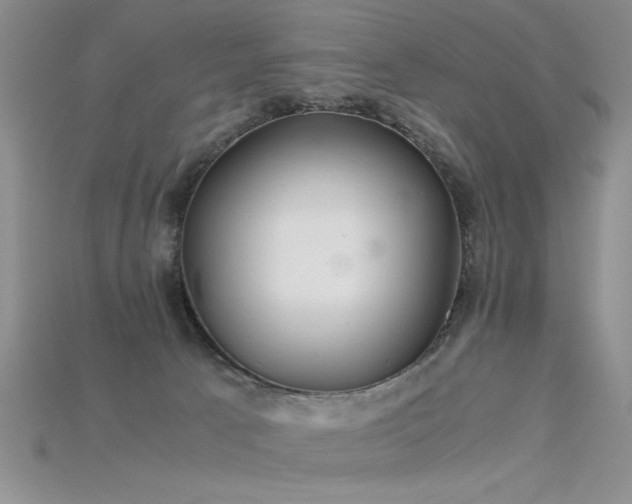 X0000115680033200911121256