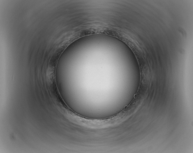 X0000115680034200911121256