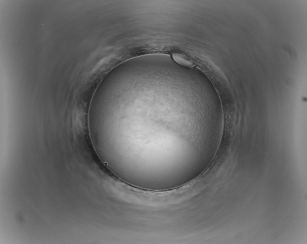 X0000115680035200911121256