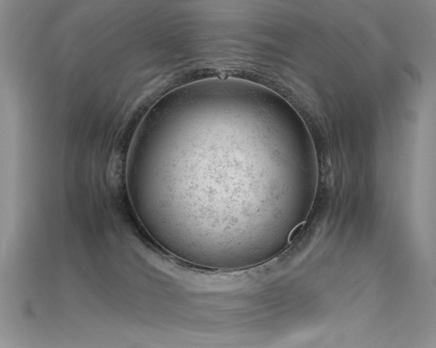 X0000115680036200911121256