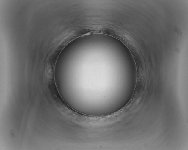 X0000115680037200911121256