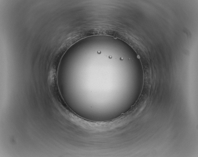 X0000115680038200911121256