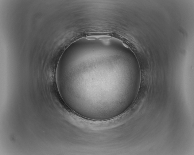 X0000115680039200911121256