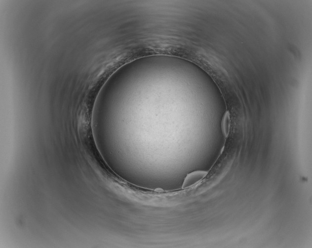 X0000115680040200911121256