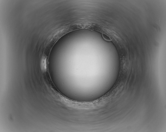 X0000115680042200911121256