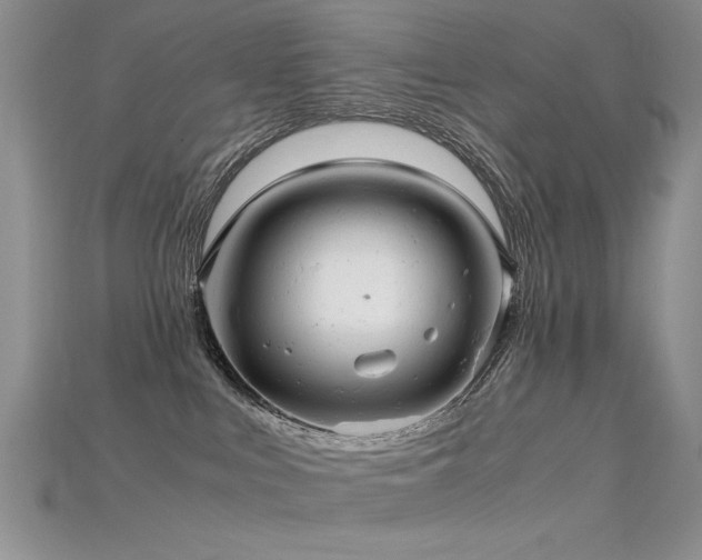 X0000115680043200911121255