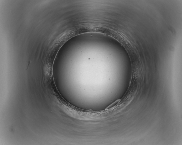 X0000115680044200911121255