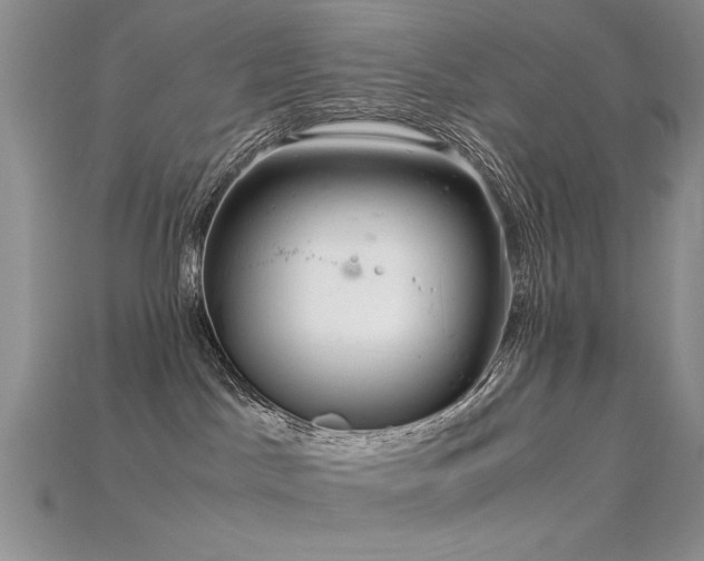 X0000115680045200911121255