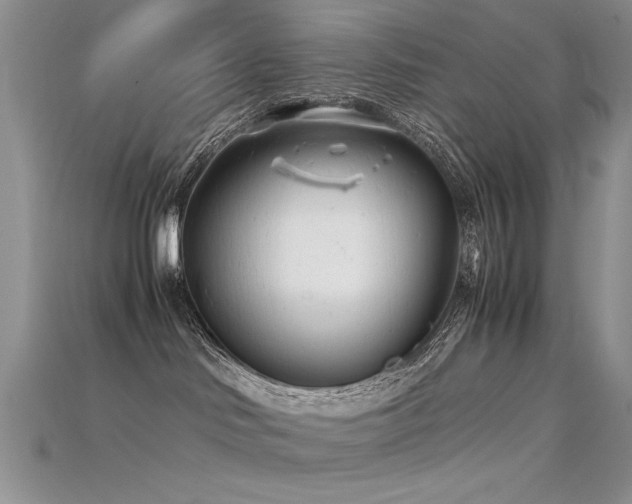 X0000115680046200911121255