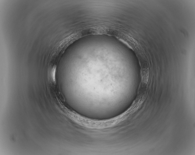 X0000115680047200911121255