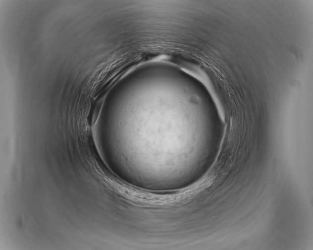 X0000115680048200911121255