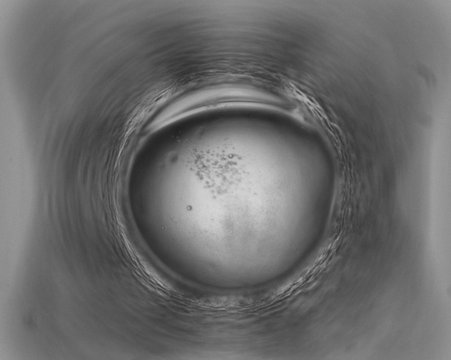 X0000115680049200911121255