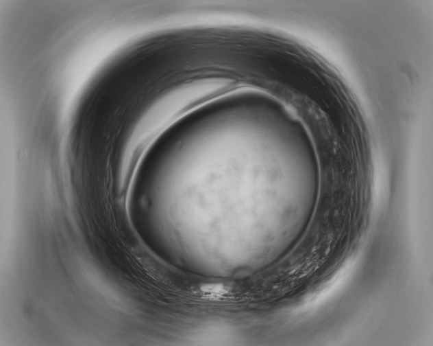 X0000115680050200911121255