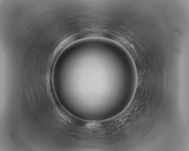 X0000115680051200911121255