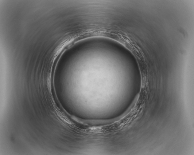 X0000115680052200911121255