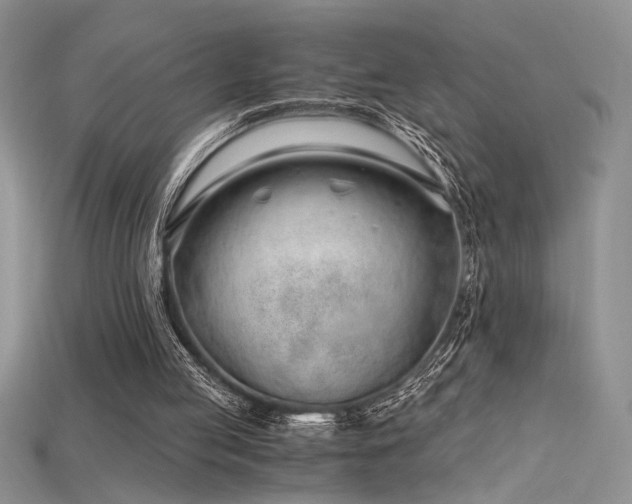 X0000115680053200911121255