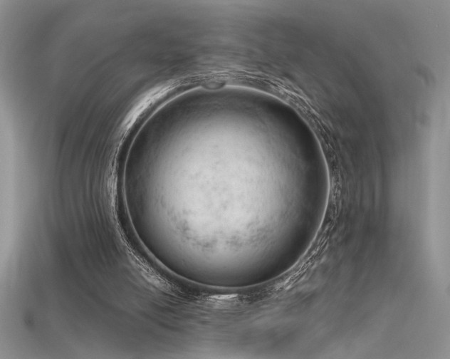 X0000115680054200911121255