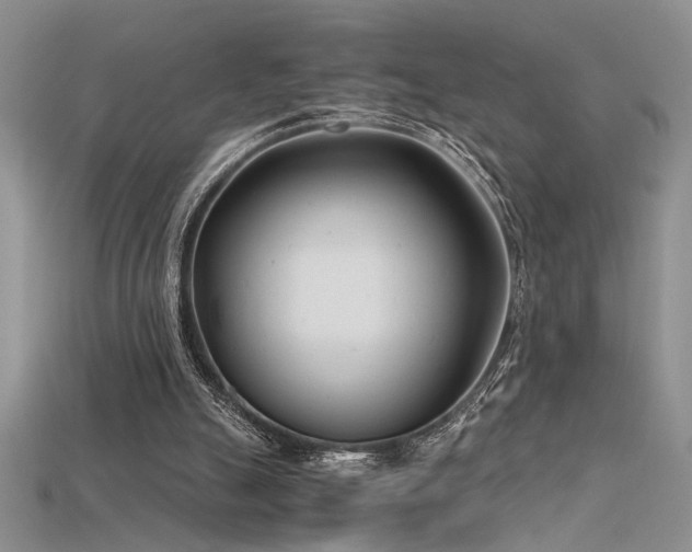 X0000115680055200911121255