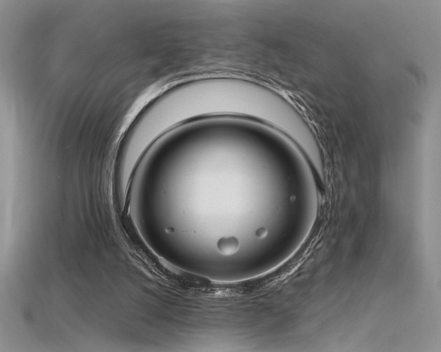 X0000115680056200911121255