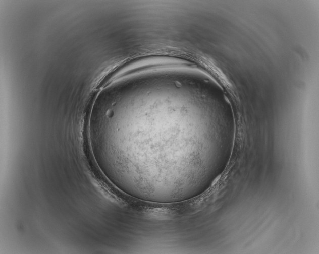 X0000115680058200911121255