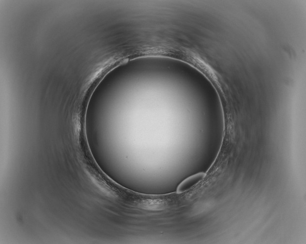 X0000115680059200911121255