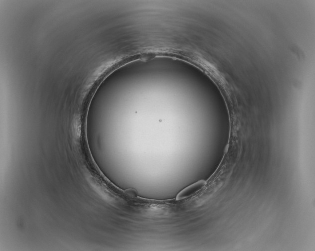 X0000115680060200911121255