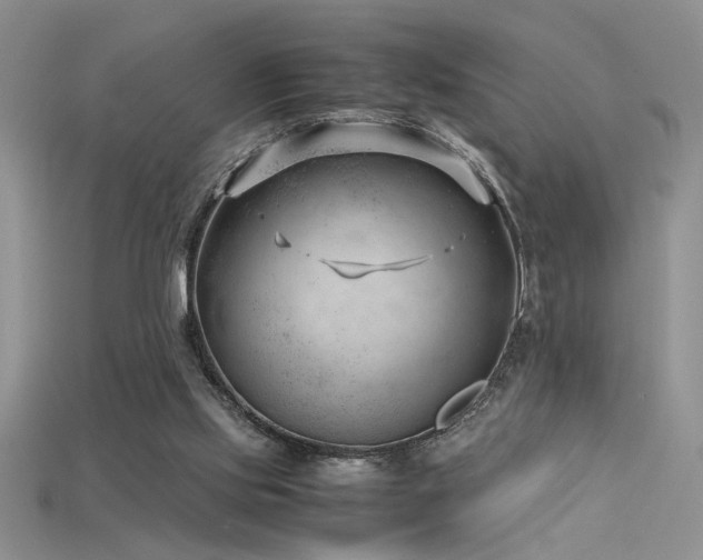 X0000115680061200911121255