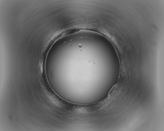 X0000115680062200911121255