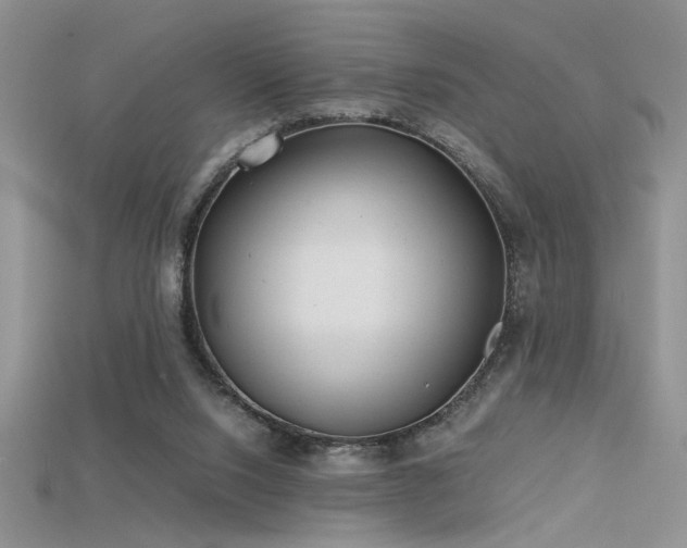 X0000115680064200911121255