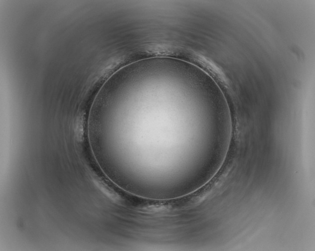 X0000115680065200911121255