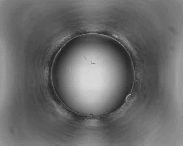 X0000115680066200911121255