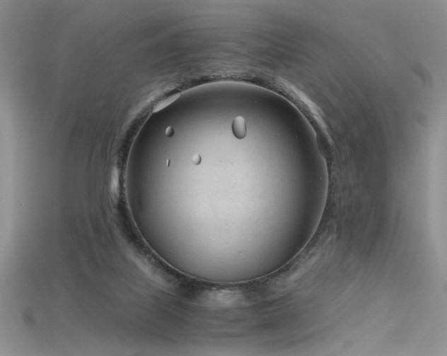 X0000115680067200911121255