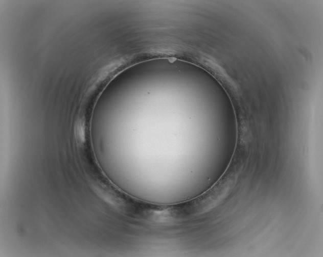 X0000115680068200911121255