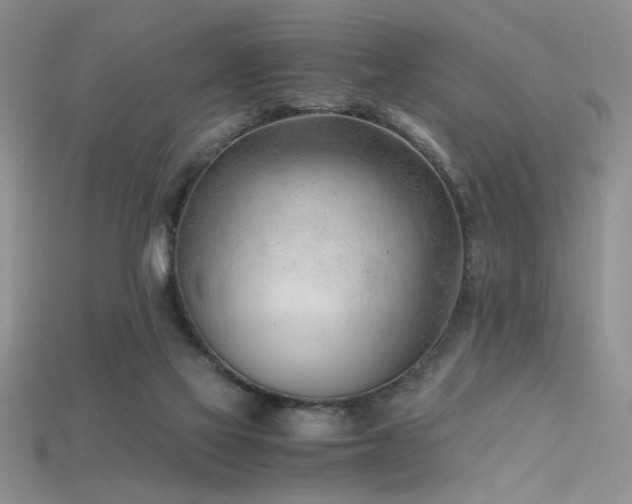 X0000115680069200911121255