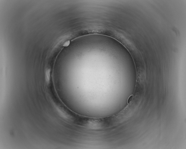 X0000115680070200911121255