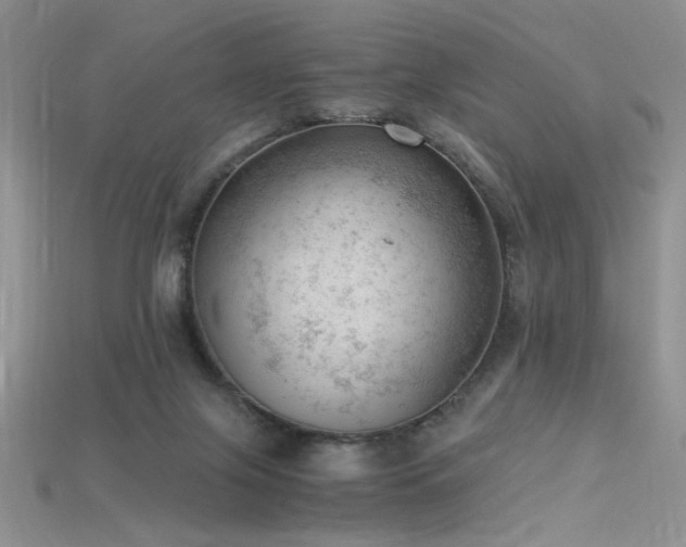 X0000115680071200911121255