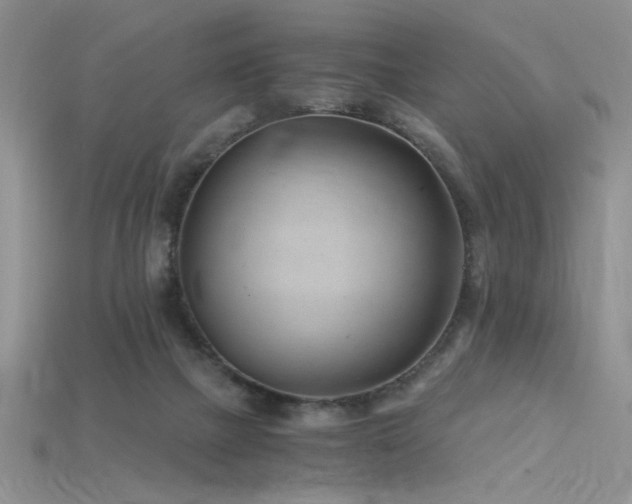 X0000115680073200911121255