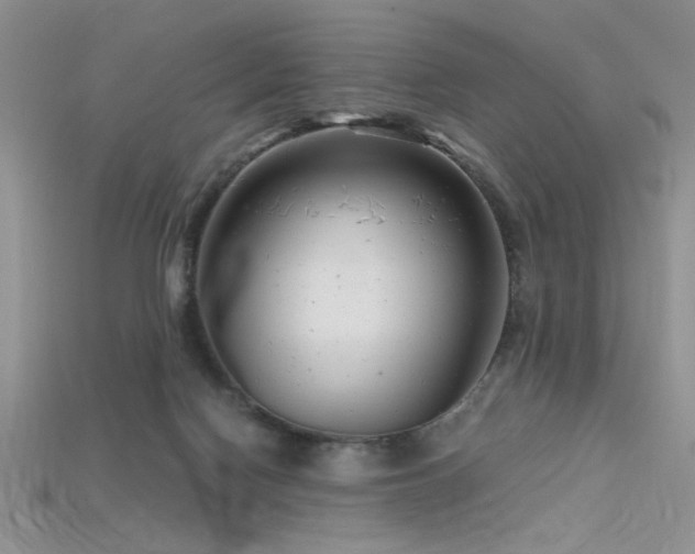 X0000115680074200911121255