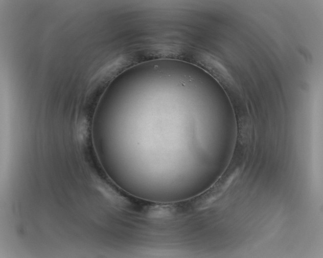 X0000115680077200911121255