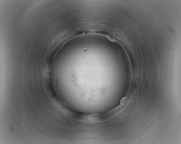 X0000115680078200911121255